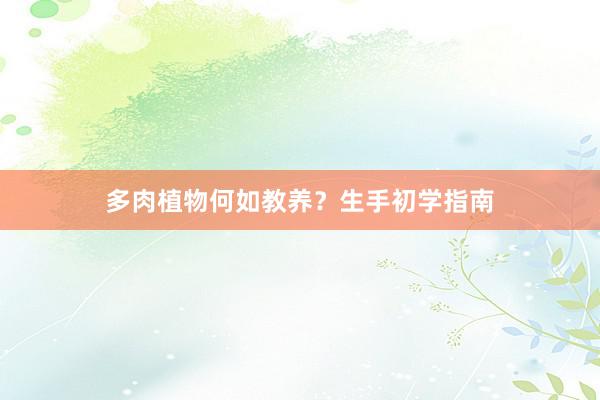 多肉植物何如教养？生手初学指南